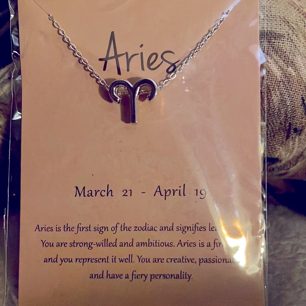 Aries Zodiac Sign Necklace, Silver, 16” chain